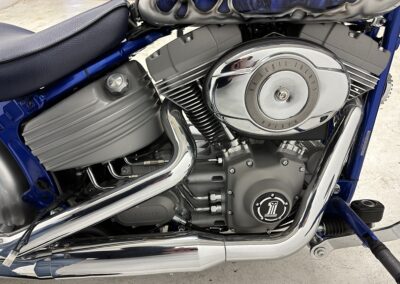 Erleben Sie die Kraft von Harley-Davidson Screamin' Flint und Unübertroffene Energie mit Harley-Davidson Screamin' Flint